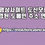 동영상사이트 도신닷컴 변경된 도메인 주소 안내​