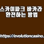 스카이파크 바카라 환전 하는 방법​