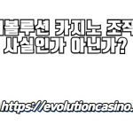 에볼루션 카지노 조작 사실인가 아닌가