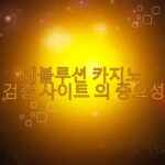 에볼루션 카지노 검증 사이트 의 중요성