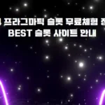 2024 프라그마틱 슬롯 무료체험 정보 및 BEST 슬롯 사이트 안내