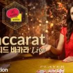 [27초의 승부] 에볼루션 스피드 바카라 게임 소개 및 이용 정보