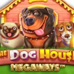 [RTP 96.51%] 프라그마틱 더 도그 하우스 (The Dog House) 정보 및 게임 리뷰