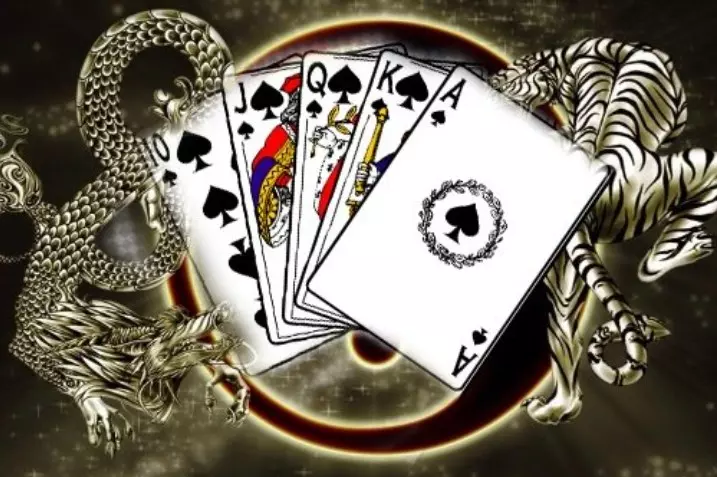 에볼루션 용호 게임