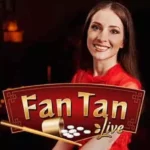 [배당률 3배] 에볼루션 판탄 (FAN TAN) 라이브 카지노 게임 소개 및 이용 정보