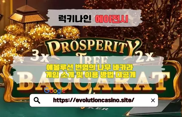 [8장의 번영 카드] 에볼루션 번영의 나무 바카라 게임 소개 및 이용 방법 대공개